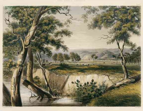 'The City of Adelaide from the Torrens'