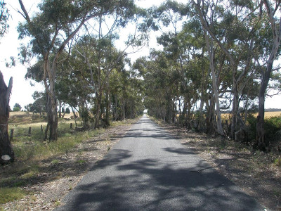Ebenezer Road