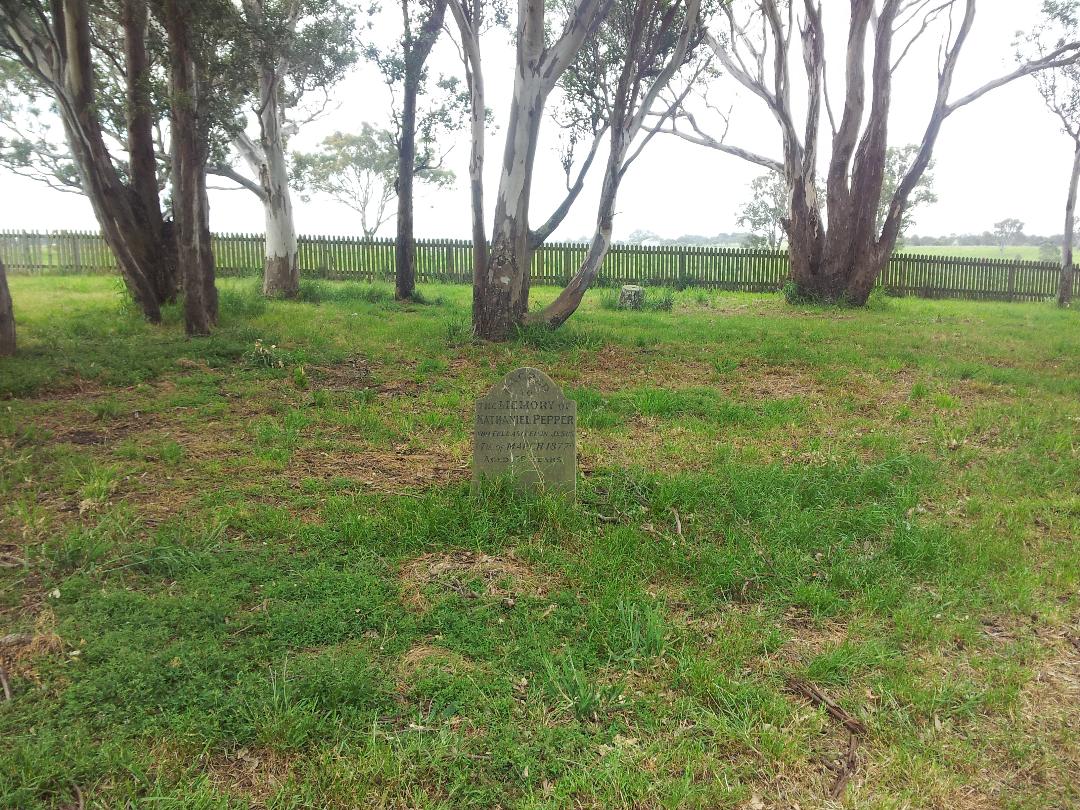 Nathaniel Pepper grave